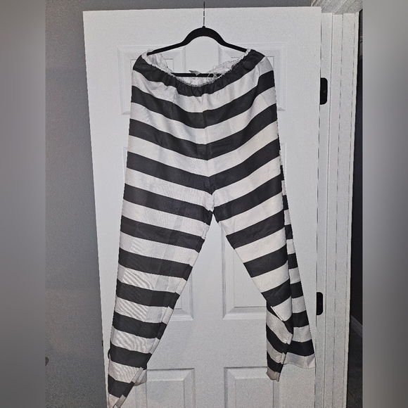 SPIRIT HALLOWEEN COSTUME - Jailbird L/XL Adult - Picture 5 of 8